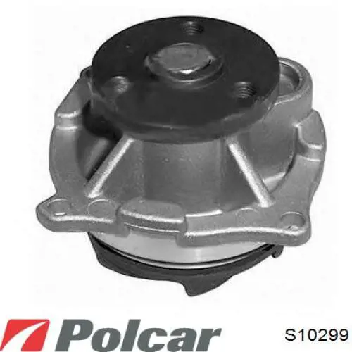 S10-299 Polcar bomba de agua