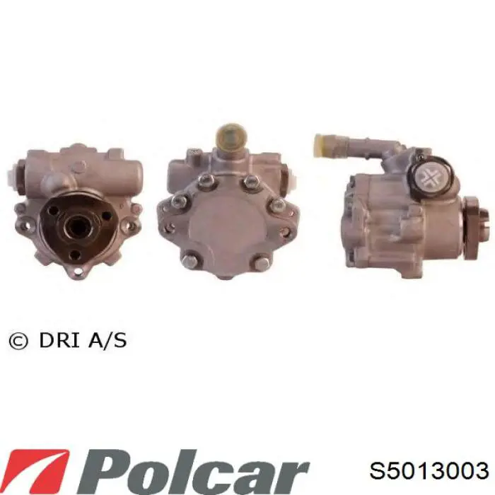 S5013003 Polcar bomba hidráulica de dirección