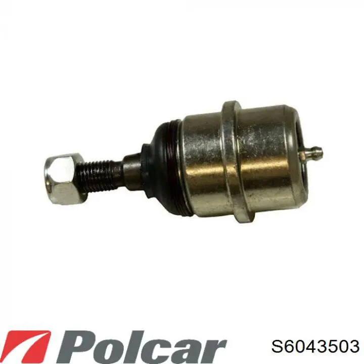 S6043503 Polcar rótula de suspensión superior