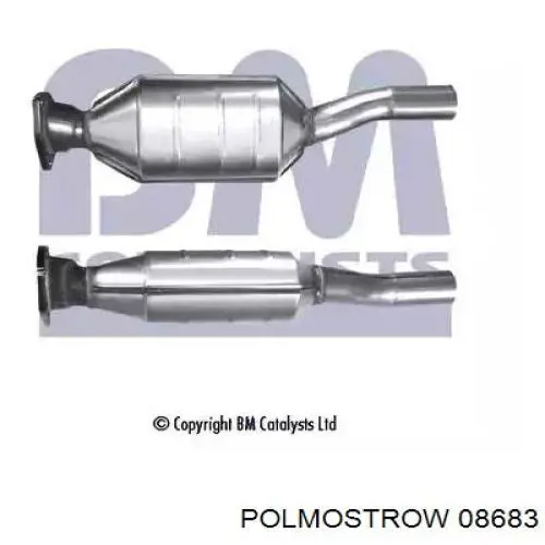 08.683 Polmostrow catalizador