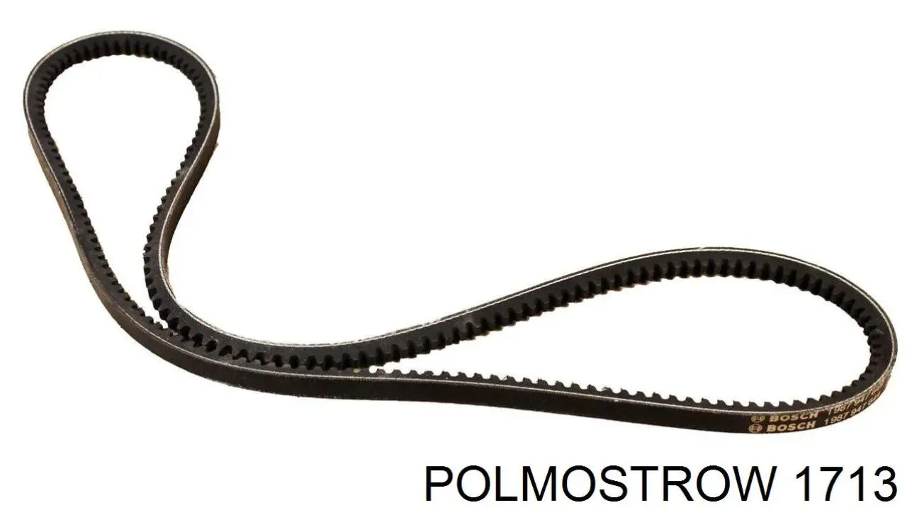 1713 Polmostrow silenciador posterior