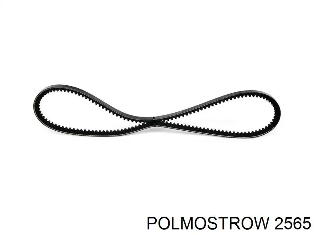 2565 Polmostrow 