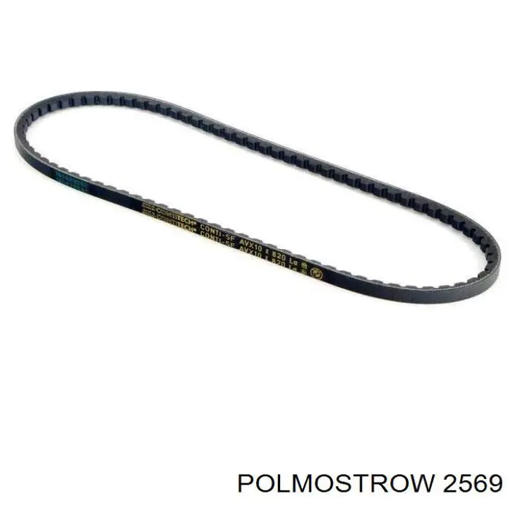 2569 Polmostrow 