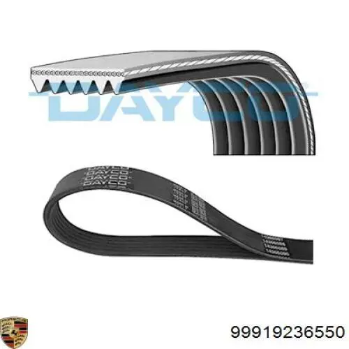 99919236550 Porsche correa trapezoidal