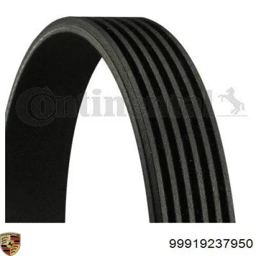 99919237950 Porsche correa trapezoidal