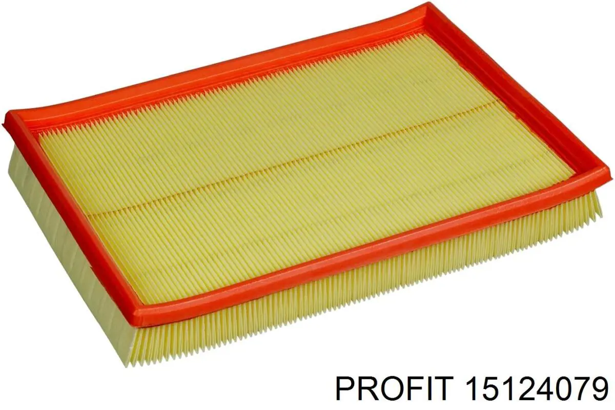 1512-4079 Profit filtro de aire