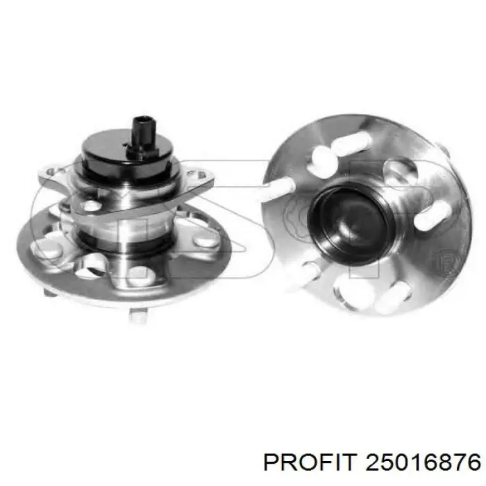 2501-6876 Profit cubo de rueda trasero