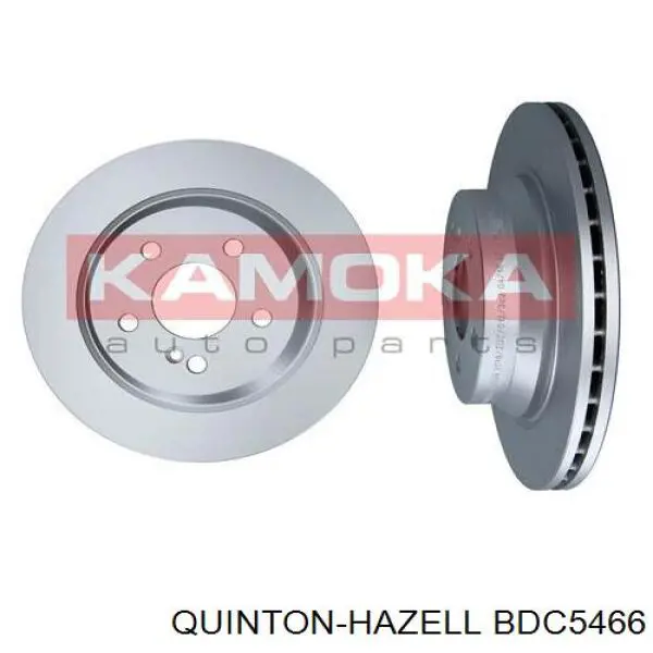 BDC5466 QUINTON HAZELL disco de freno trasero