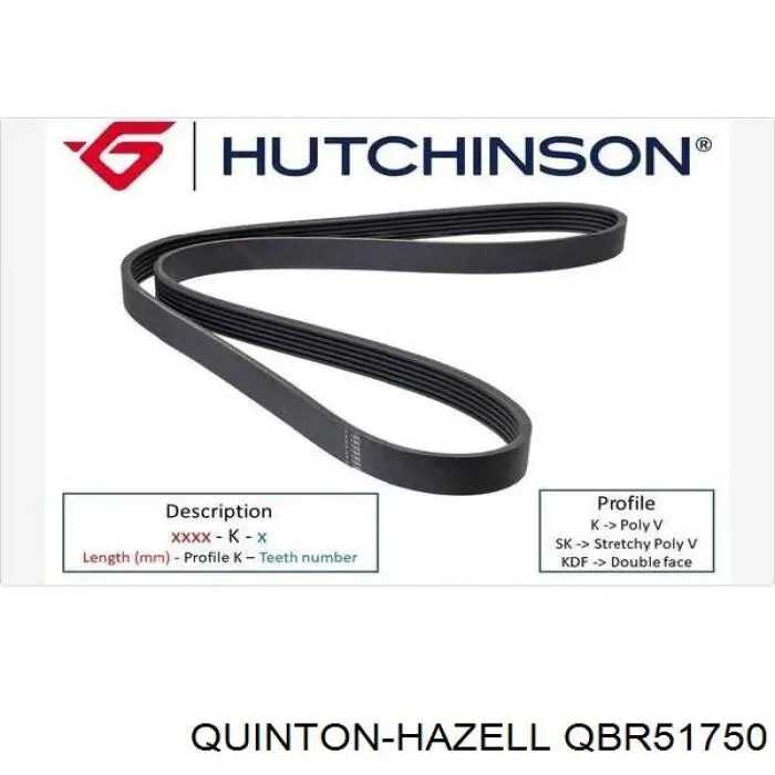 QBR51750 QUINTON HAZELL correa trapezoidal