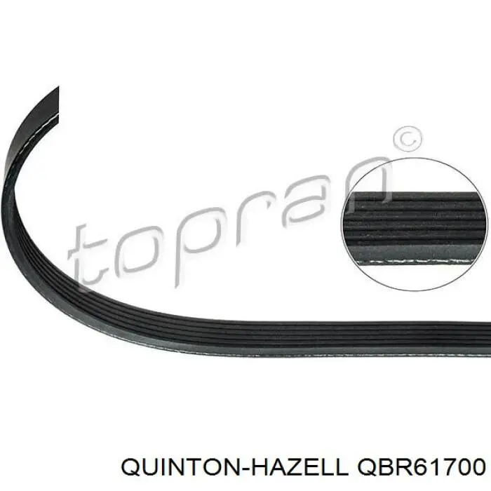 QBR61700 QUINTON HAZELL correa trapezoidal