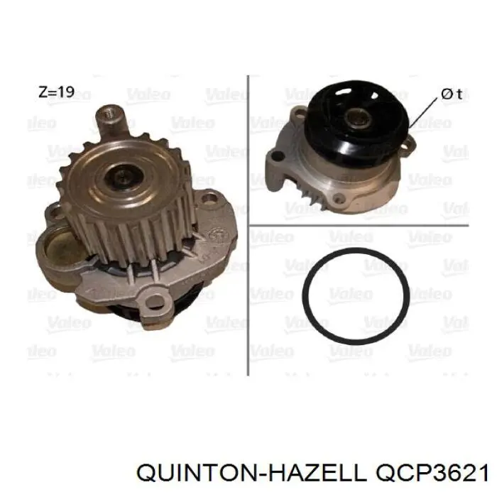 QCP3621 QUINTON HAZELL bomba de agua