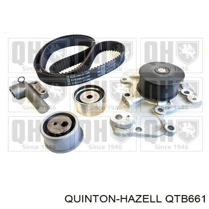 QTB661 QUINTON HAZELL correa distribucion