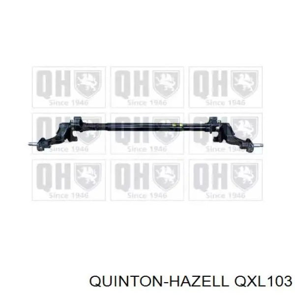  Subchasis trasero soporte motor para Citroen ZX N2