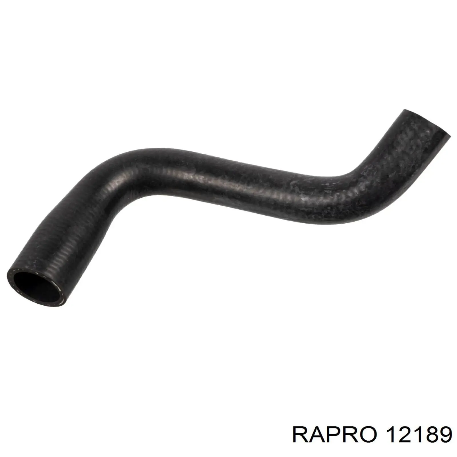  Tubería de radiador, tuberia flexible calefacción, inferior para Renault Megane 2 