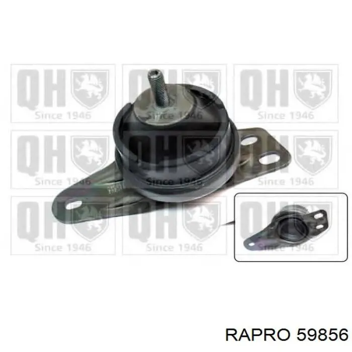 59856 Rapro soporte de motor derecho