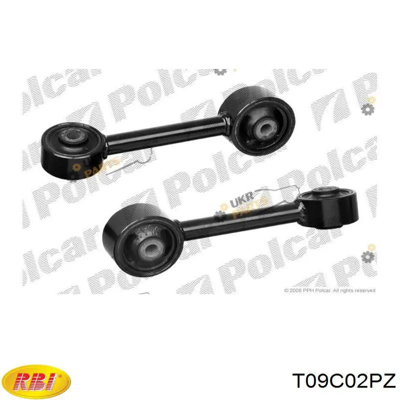 T09C02PZ RBI soporte de motor derecho