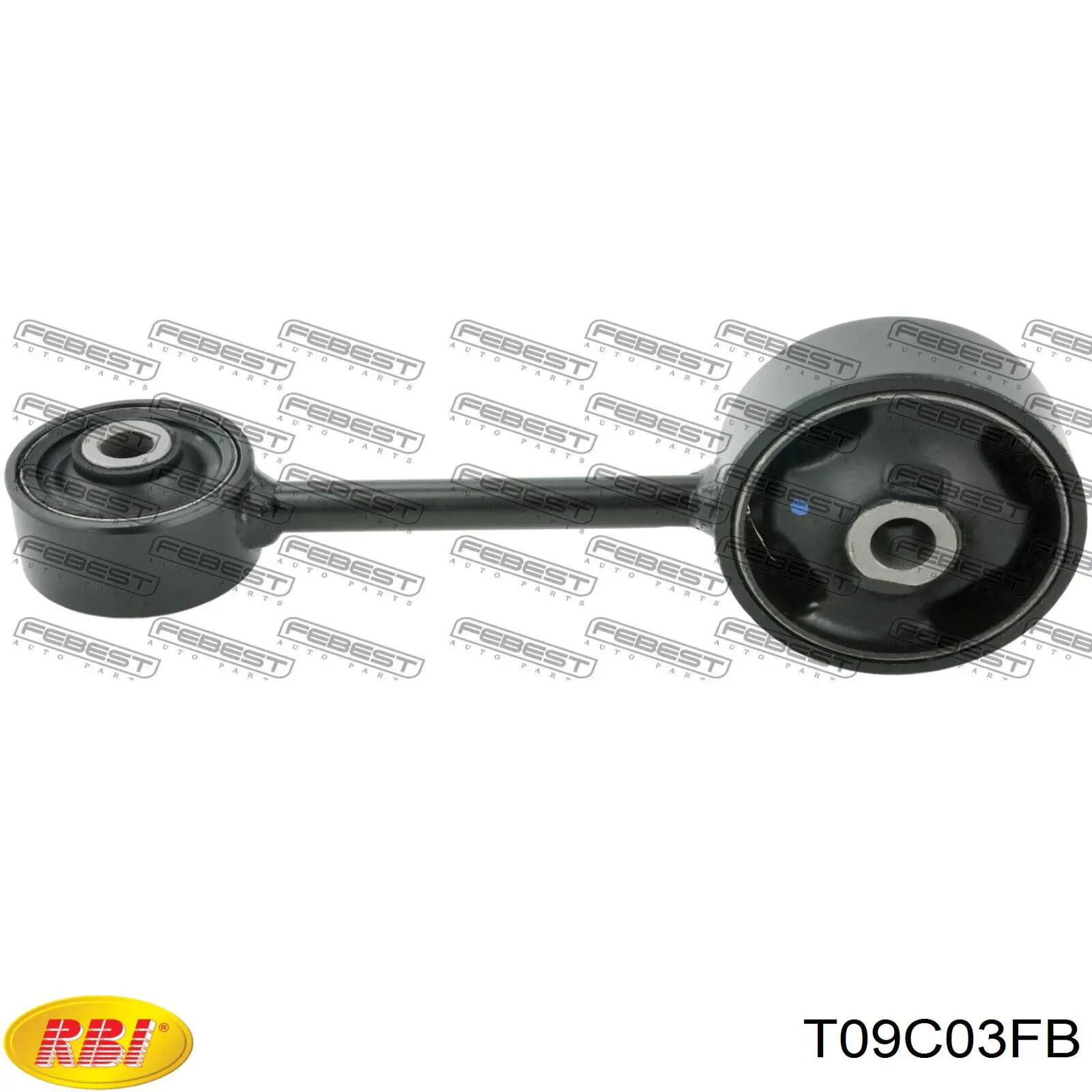 T09C03FB RBI soporte de motor derecho