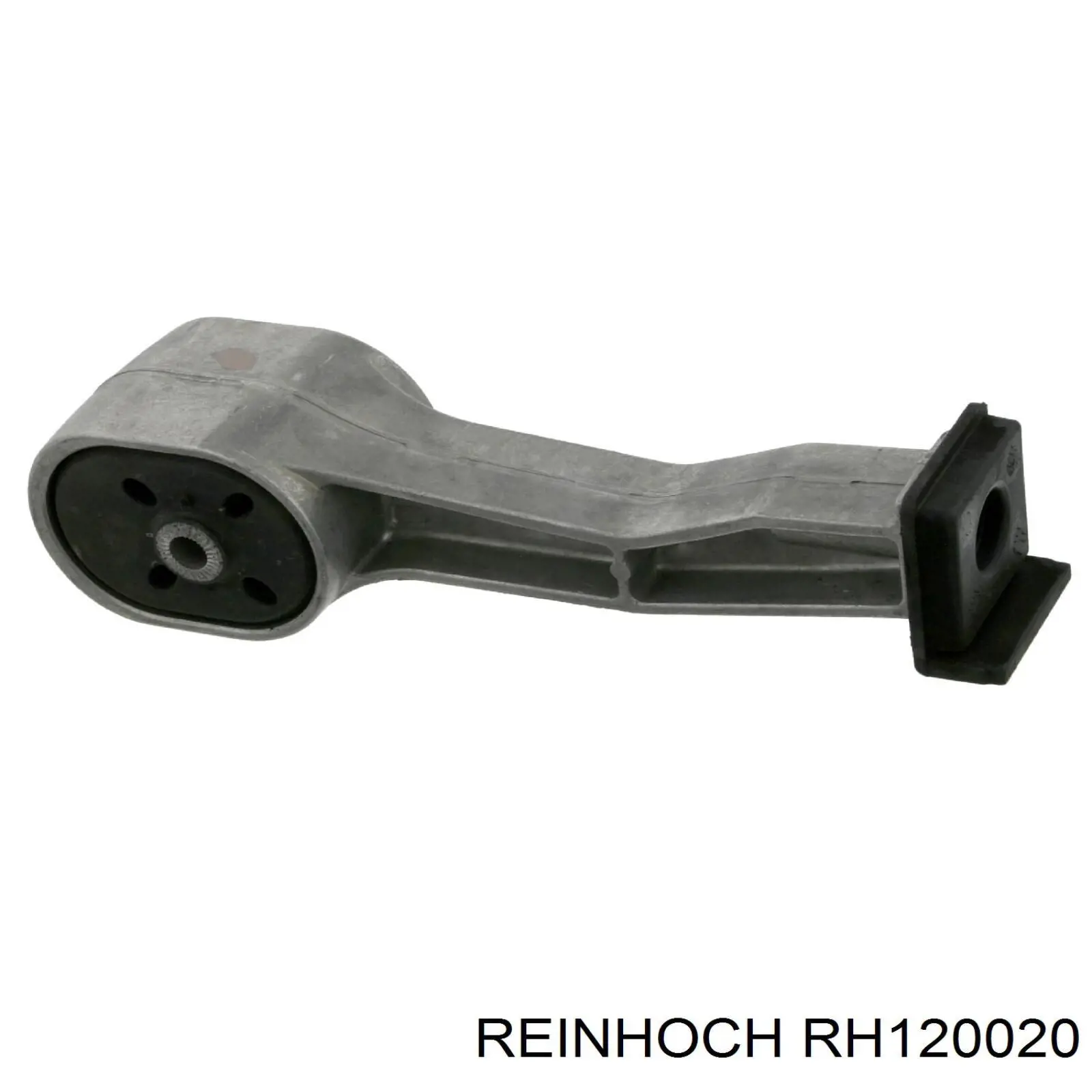 RH120020 Reinhoch 