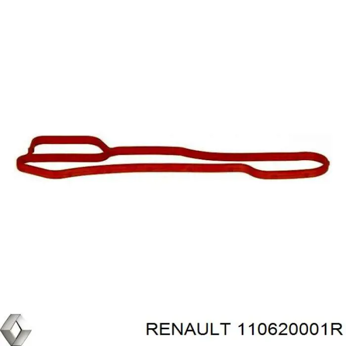 110620001R Renault (RVI) 