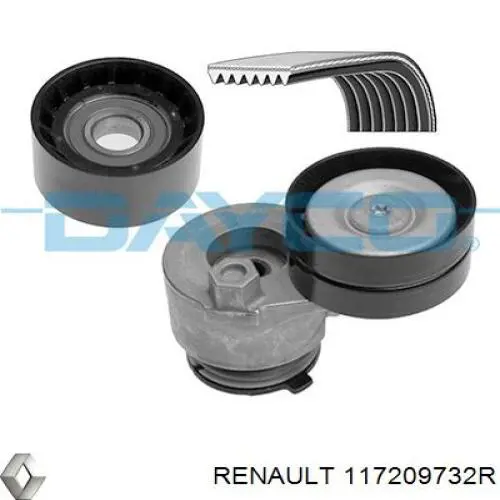 117209732R Renault (RVI) correa de transmision, juego completo