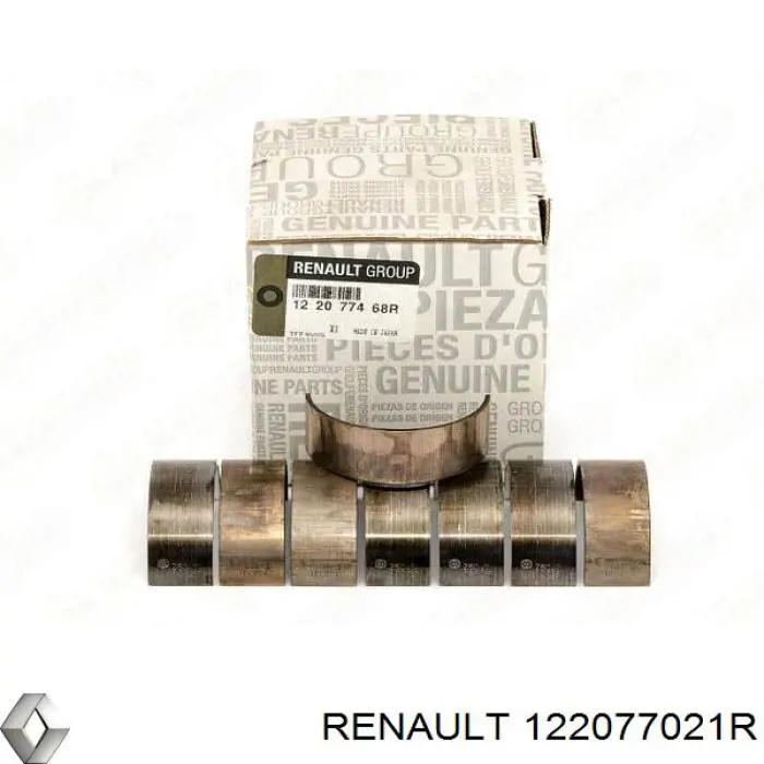 122077021R Renault (RVI) 