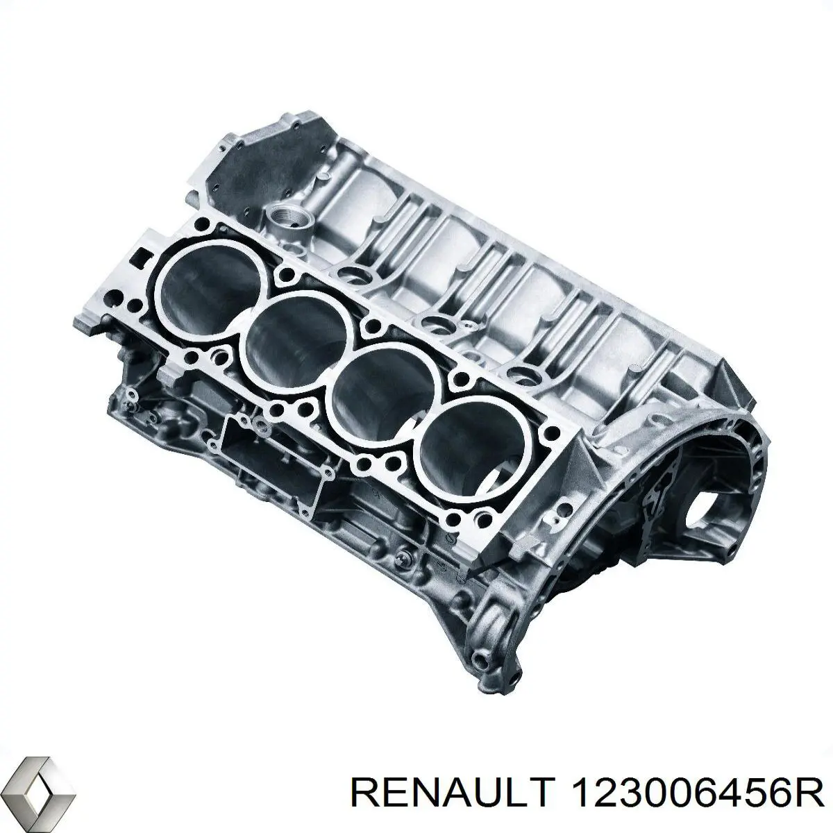 123006456R Renault (RVI) volante motor