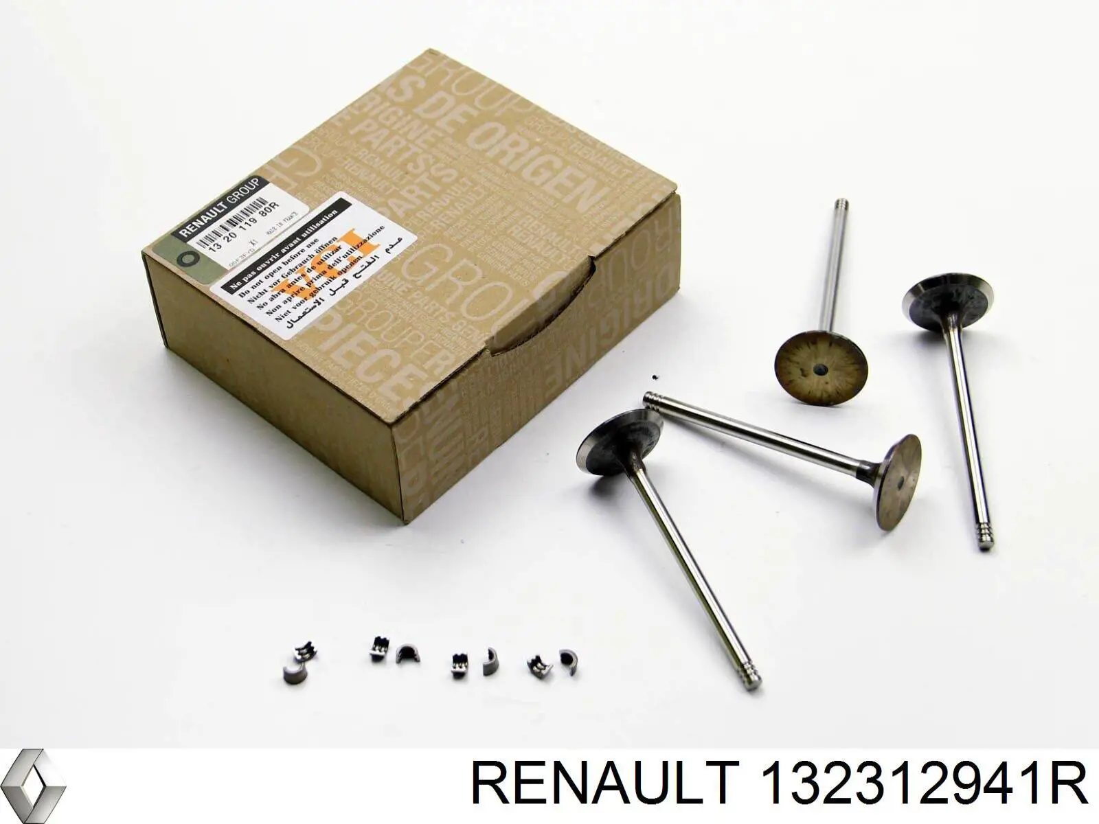 132312941R Renault (RVI) 