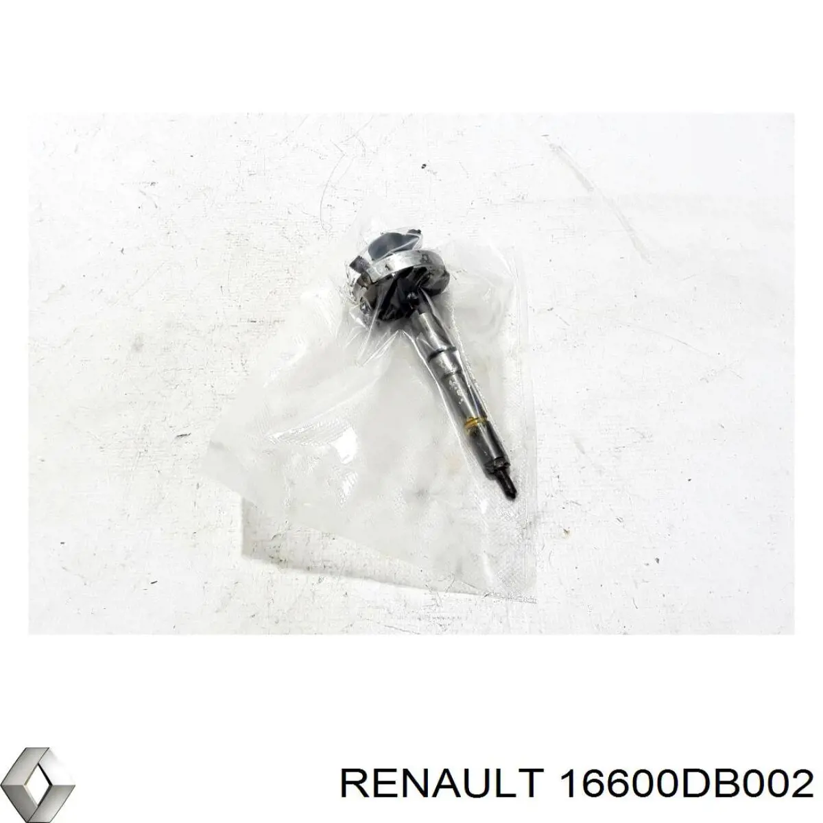 16600DB002 Renault (RVI) inyector de combustible