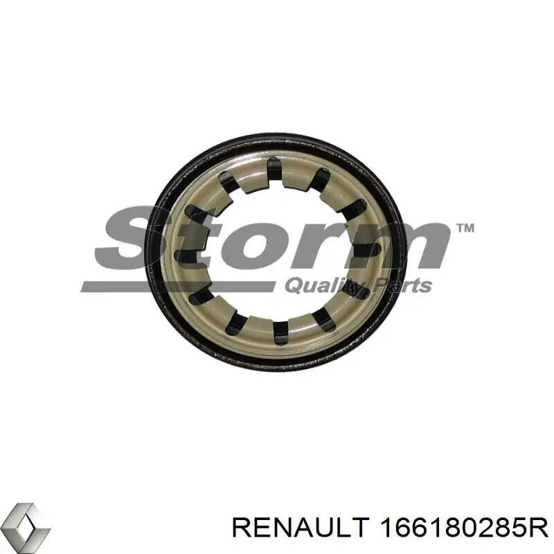 166180285R Renault (RVI) junta anular, inyector