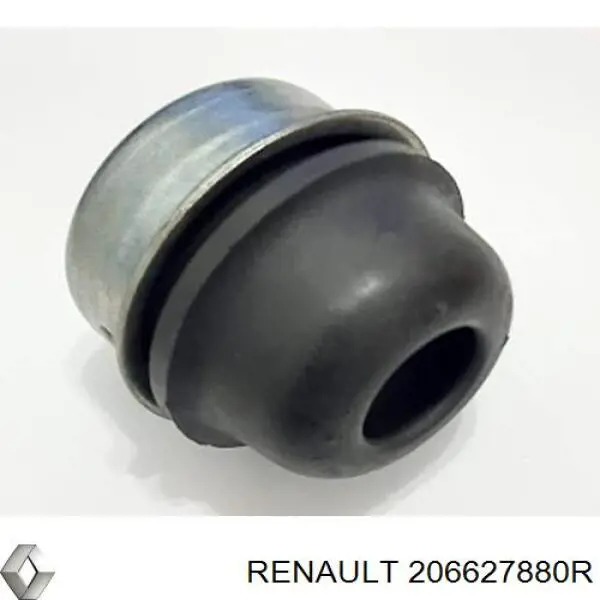 206627880R Renault (RVI) 