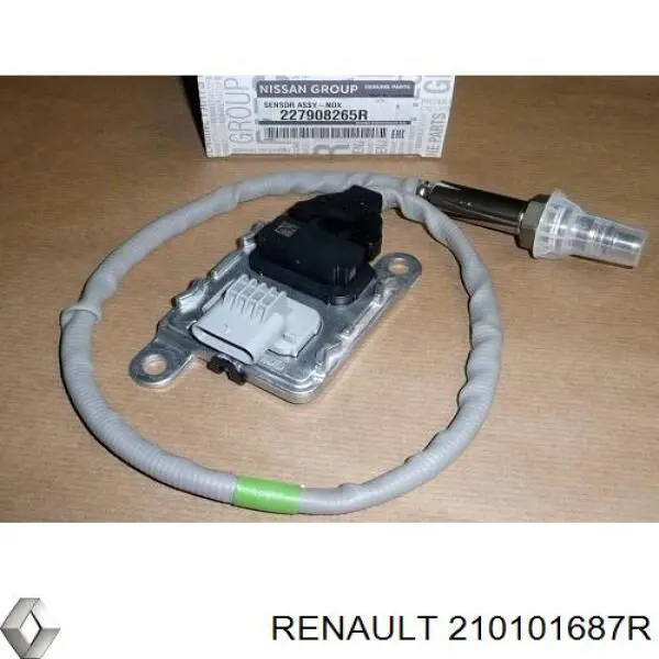 210101687R Renault (RVI) 