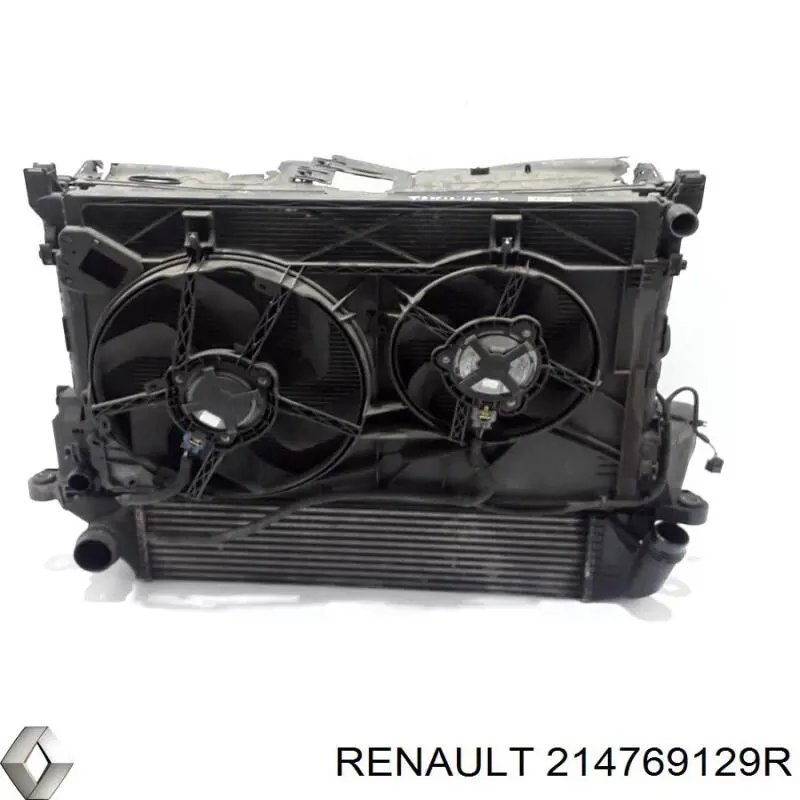 214769129R Renault (RVI) 