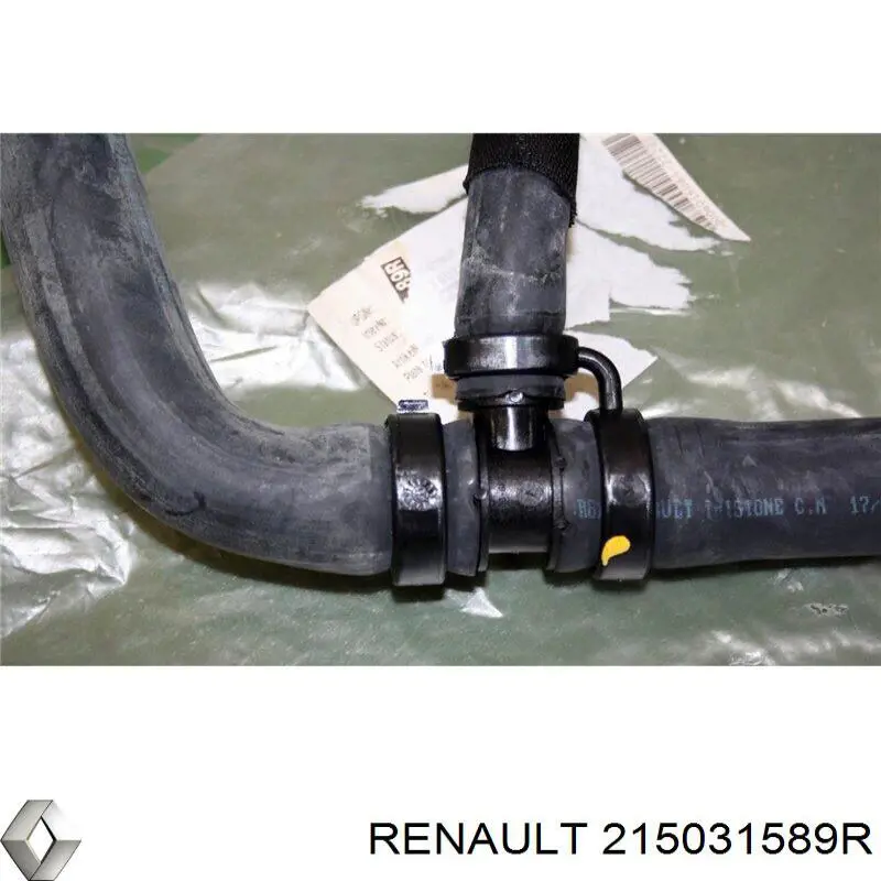 215031589R Renault (RVI) manguera refrigerante para radiador inferiora