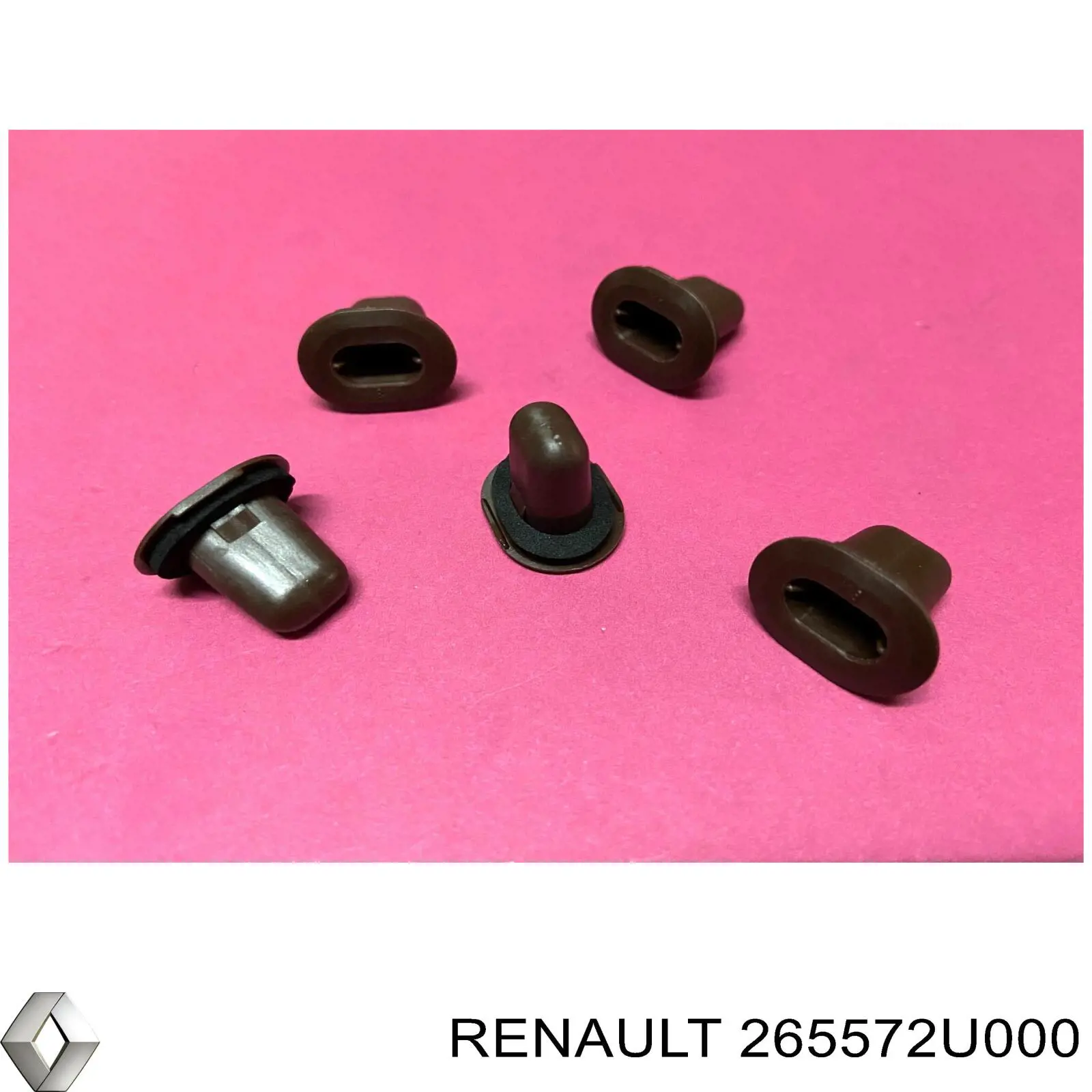 265572U000 Renault (RVI) 