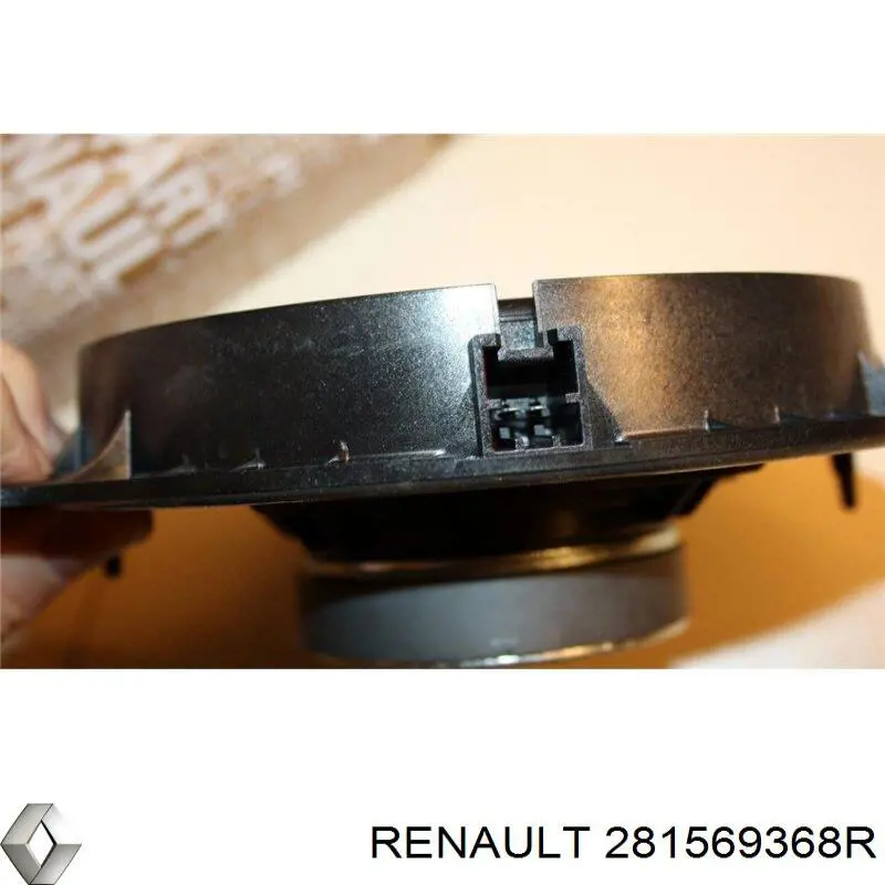 281569368R Renault (RVI) 