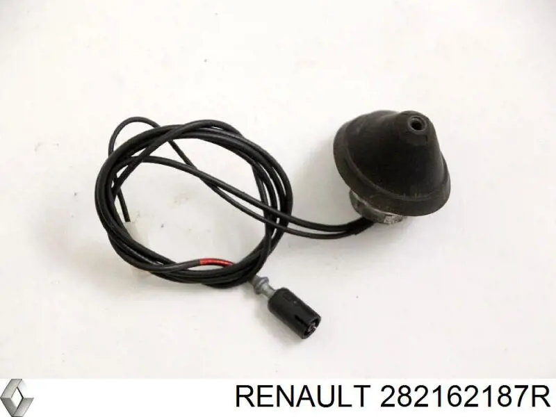 282162187R Renault (RVI) 