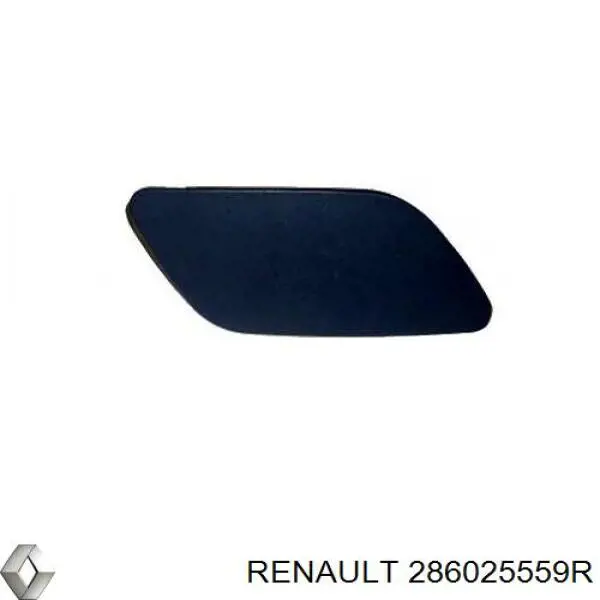 286025559R Renault (RVI) 