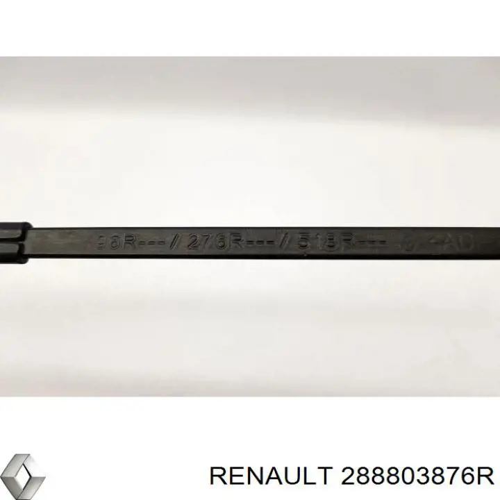 288803876R Renault (RVI) 