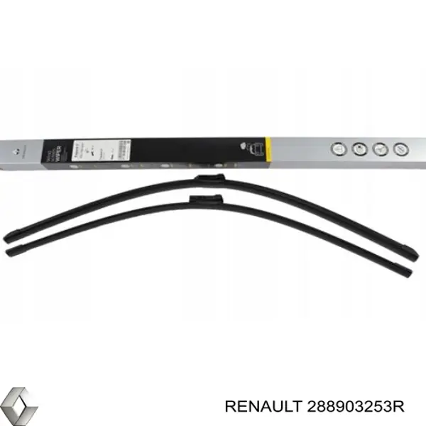 288903253R Renault (RVI) 