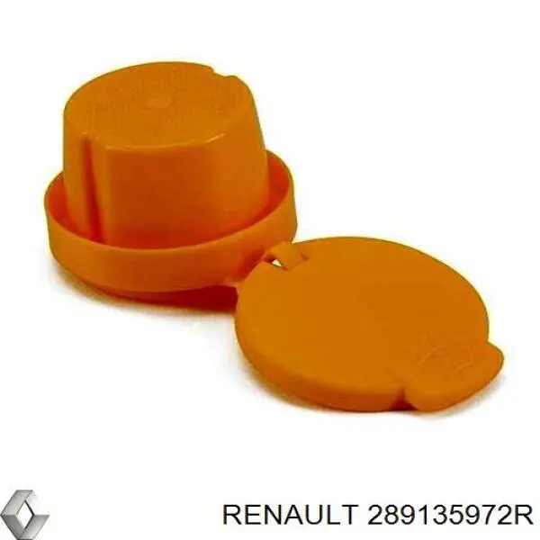 289135972R Renault (RVI) tapa de depósito del agua de lavado