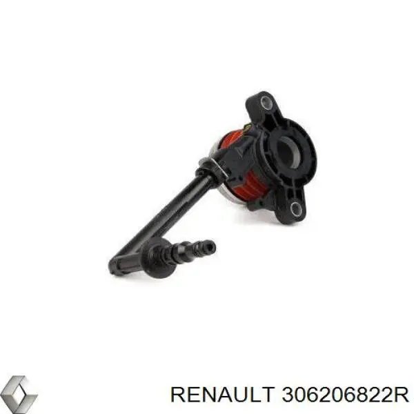 306206822R Renault (RVI) lubricante universal