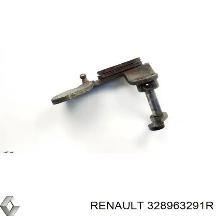 328963291R Renault (RVI) 