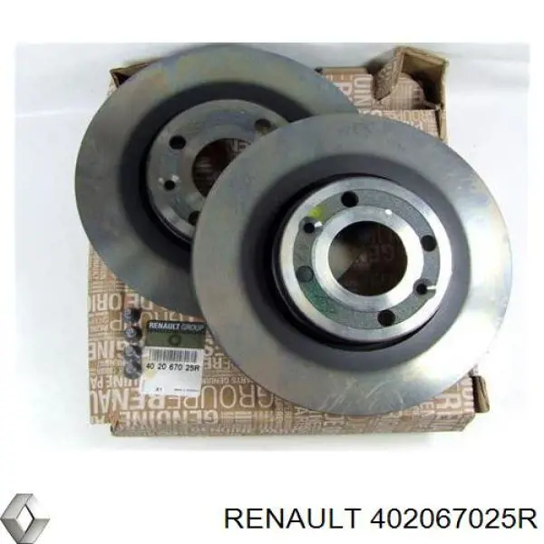 402067025R Renault (RVI) freno de disco delantero