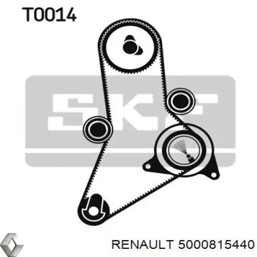 5000815440 Renault (RVI) correa distribucion