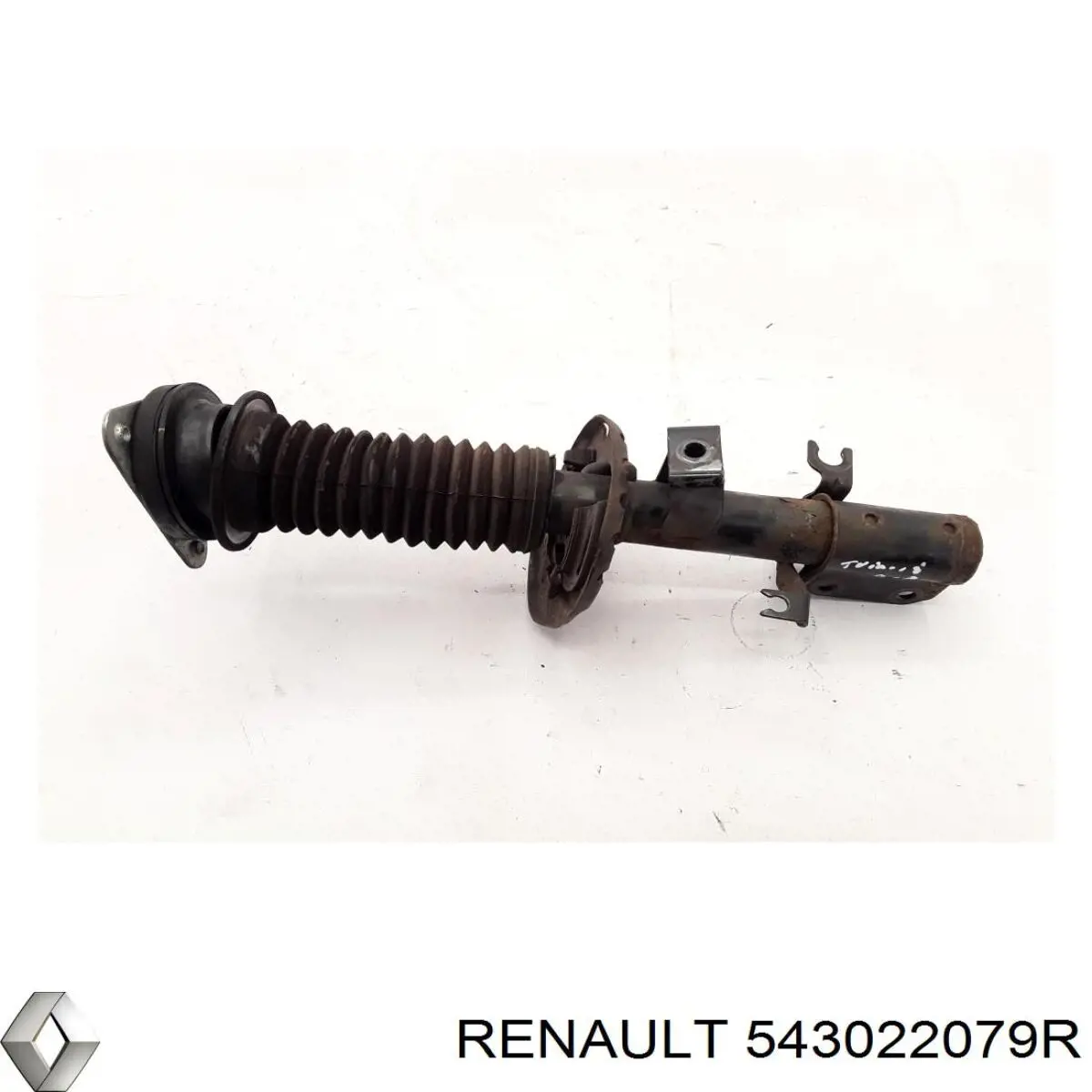 543022079R Renault (RVI) 