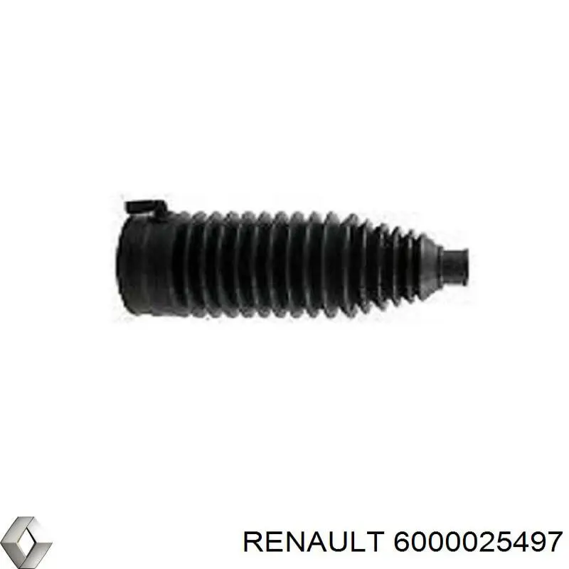 6000025497 Renault (RVI) 