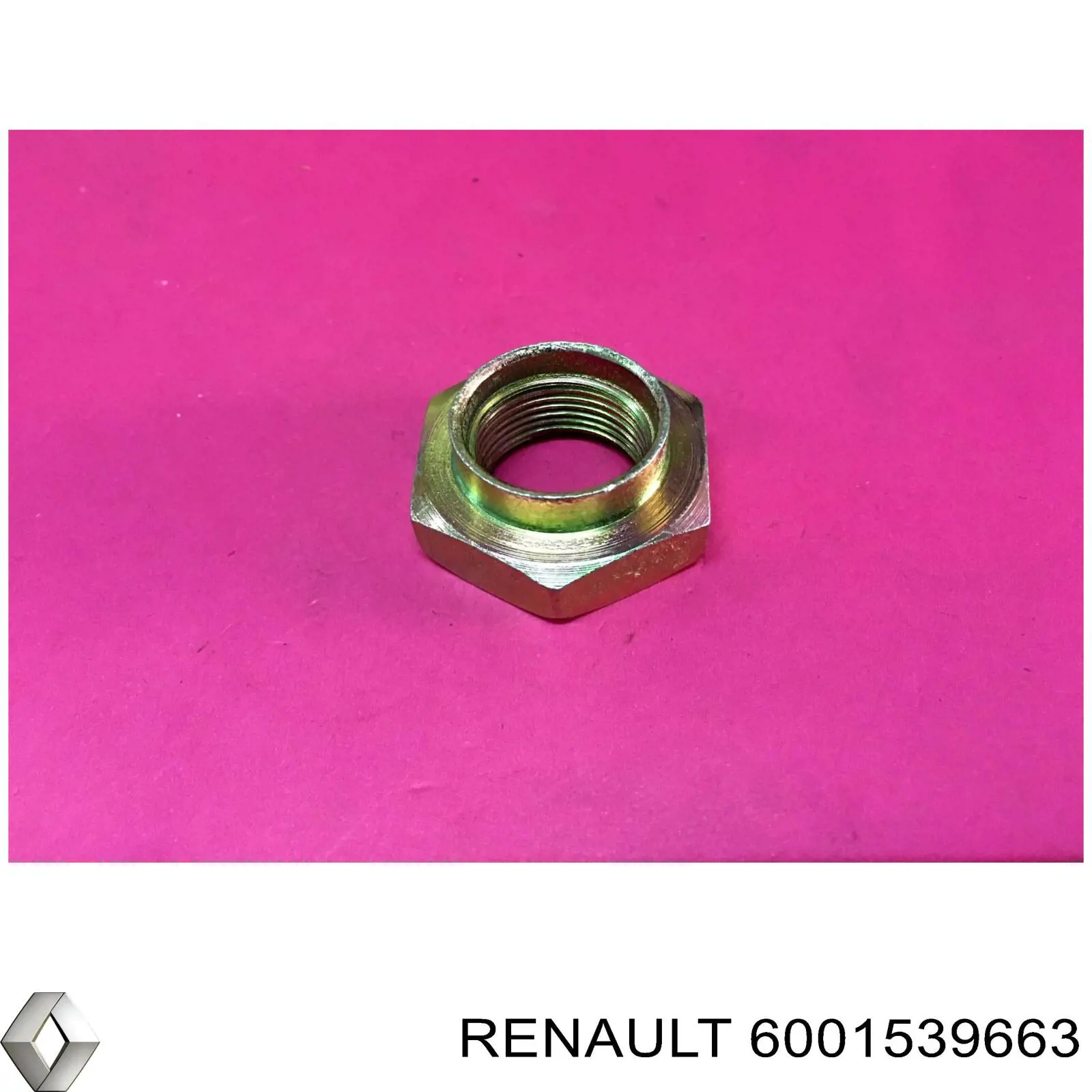 6001539663 Renault (RVI) 