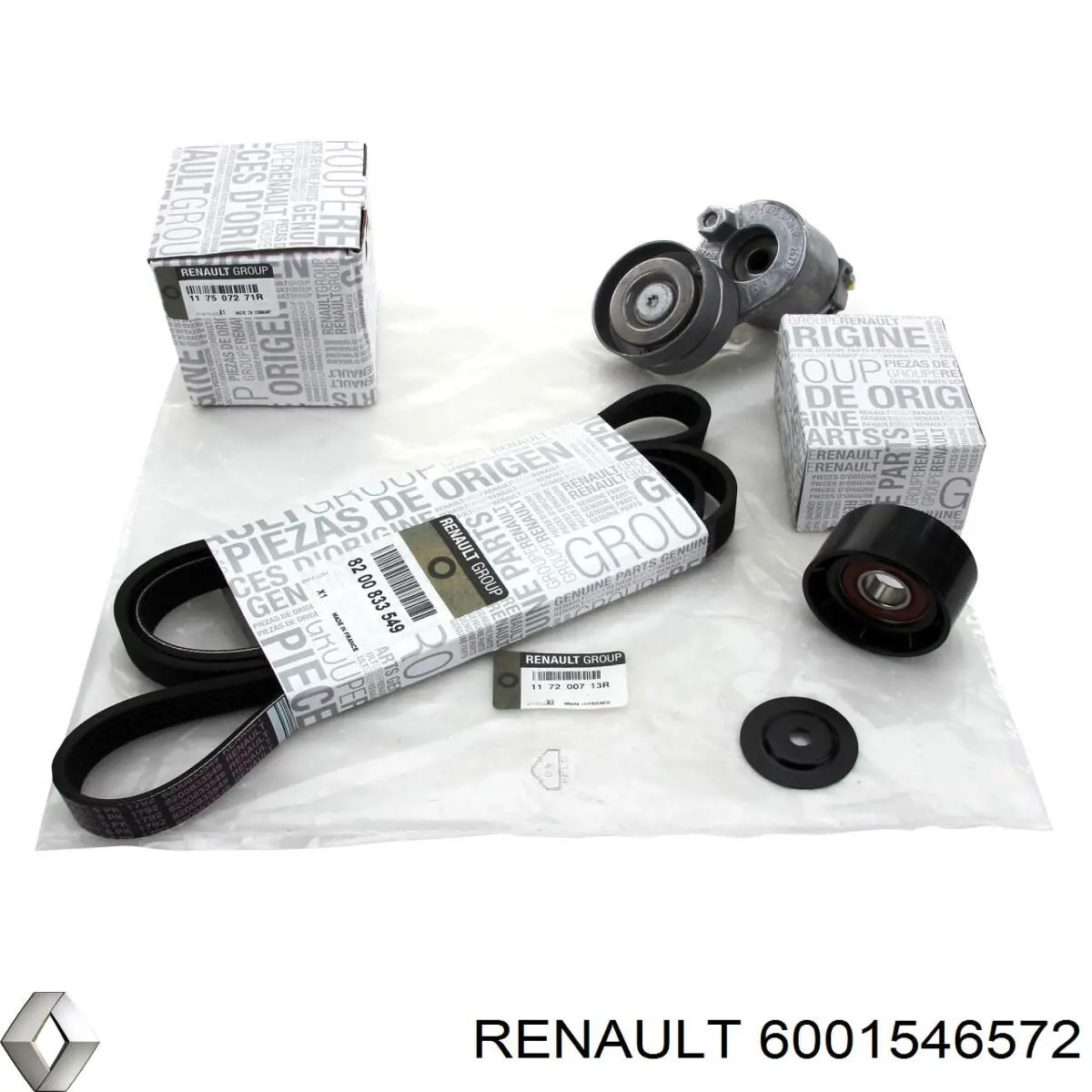 6001546572 Renault (RVI) 