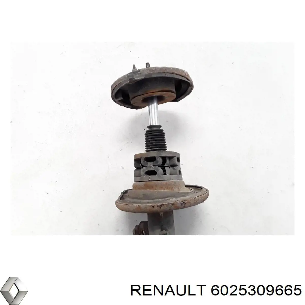 6025309665 Renault (RVI) amortiguador delantero