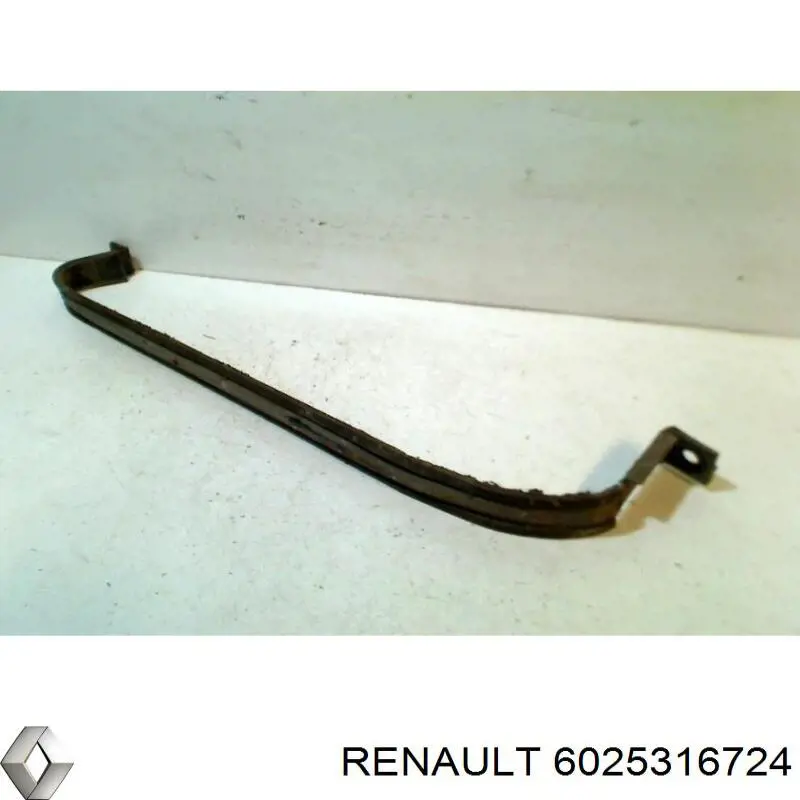 6025316724 Renault (RVI) 